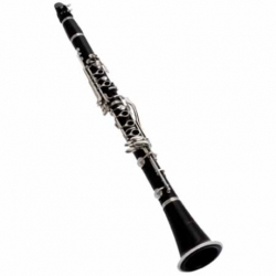 Clarinet PEARL RIVER CLARINETE PRO NEGRO SISTEMA BOEHM 17 LLAVES  MK004A - Envío Gratuito