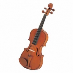 Violin AMADEUS VIOLIN BRILLANTE 4/4 SOLID BOXWOOD CLAV-BARB-CORD  MV012B - Envío Gratuito