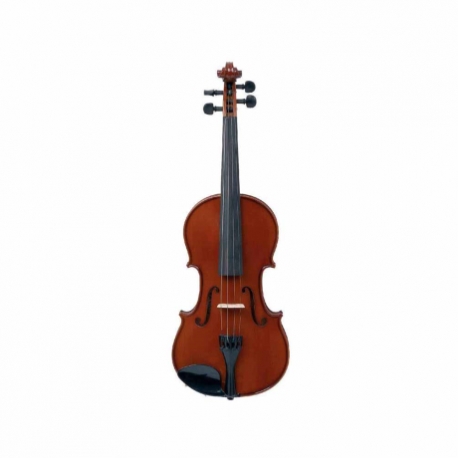 Violin STRADIVARIUS VIOLIN 4/4 STRAD. ARCO/BARB/ESTUCHE MOD. 160B 7320033 - Envío Gratuito